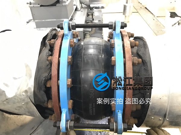 TRANE特靈冷水機組橡膠接頭現場 TRANE特靈冷水機組橡膠接頭現場