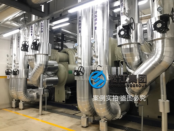 TRANE特靈冷水機組橡膠接頭現場 TRANE特靈冷水機組橡膠接頭現場
